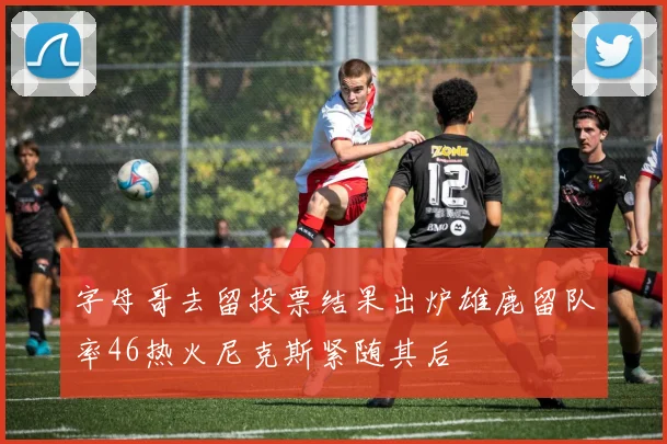 字母哥去留投票结果出炉雄鹿留队率46热火尼克斯紧随其后